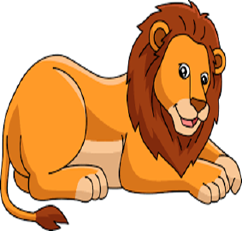 Primary 3 - Lion Room